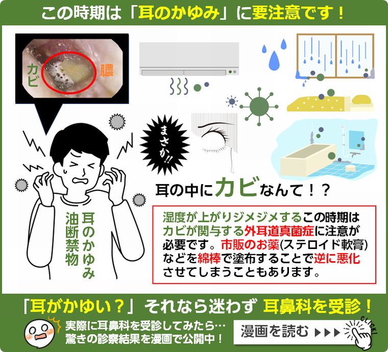 この時期は「耳のかゆみ」に要注意です!